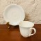 CEASCA SI FARFURIOARA DIN PORTELAN VILLEROY BOCH- BONE CHINA- DELTA