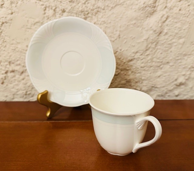 CEASCA SI FARFURIOARA DIN PORTELAN VILLEROY BOCH- BONE CHINA- DELTA