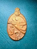 Insigna Carol 2 pregatirea premilitara