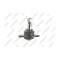 Pivot brat suspensie Opel Arena Box (A97) 01.97-12.01, Arena Box (Tb Tf) 03.98-08.01, Arena Bus (A97) 01.97-12.01, Arena Estate (A97) 03.98-08.01; Re