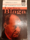 Pe urmele lui Lucian Blaga - Mircea Vaida