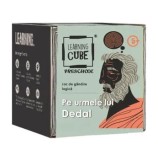 Cumpara ieftin Joc de logica Learning Cube - Pe urmele lui Dedal