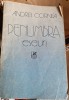 Andrei Cornea - Penumbra. Eseuri