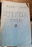 Andrei Cornea - Penumbra. Eseuri