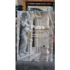 Piatra in patrimoniul romanesc. Degradari specifice si tratamente adecvate - Iulian Olteanu