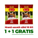 Cumpara ieftin 1+1 GRATIS - hrană uscată pentru c&acirc;ini adulți talie mică Hit Mini Adult 10 kg