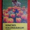 Kincses Kalendarium 1982