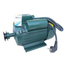 Motor electric Brillo 2.2 kW, 3000 rpm foto