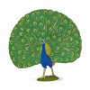 Figurina Paun Prietenii De La Ferma, plastic multicolor, 3+ ani, 12.5 x 5.5 x 11.6cm