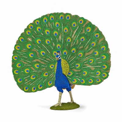 PAPO FIGURINA PAUN foto