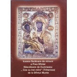 ICOANA FACATOARE DE MINUNI A PREA SFINTEI NASCATOARE DE DUMNEZEU &quot;CEA CU TREI MAINI&quot; (TRIHERUSA) DE LA SFAN-254688