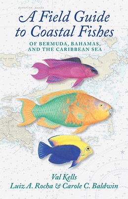 A Field Guide to Coastal Fishes of Bermuda, Bahamas, and the Caribbean Sea foto