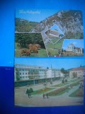 HOPCT LOT 2462 HATEG -JUD HUNEDOARA-2 CARTI POSTALE-NECIRCULATE, Necirculata, Printata