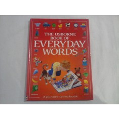 THE USBORNE BOOK OF EVERYDAY WORDS - Jo Litchfield