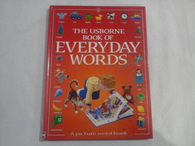 THE USBORNE BOOK OF EVERYDAY WORDS - Jo Litchfield foto