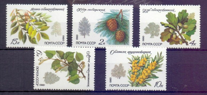 RUSIA - SERIE COMPLETA ( 5 VAL) ARBORI , FRUCTE SI FRUNZE 1980 , NEUZATE / FLORA