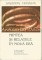 Foto  - 1
