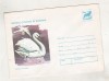 Bnk ip Animale ocrotite - Lebada cucuiata - necirculat - 1977, Dupa 1950