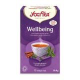 Ceai Wellbeing, 17 plicuri, Yogi Tea