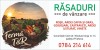 Vanzare de rasaduri