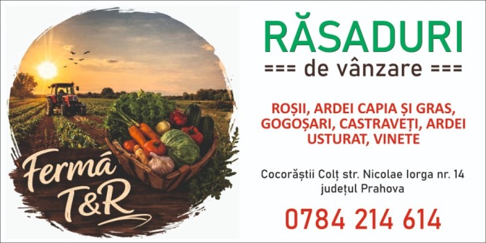 Vanzare de rasaduri