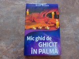 Rene Brunin &ndash; Mic ghid de ghicit in palma, 2014