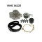 SKF Set pompa apa + curea dintata