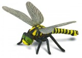 Libelula - collecta