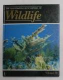 THE ILLUSTRATED ENCYCLOPEDIA OF WILDLIFE , VOLMUL 49 , 1989