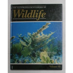 THE ILLUSTRATED ENCYCLOPEDIA OF WILDLIFE , VOLMUL 49 , 1989