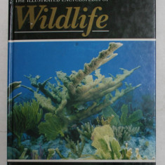 THE ILLUSTRATED ENCYCLOPEDIA OF WILDLIFE , VOLMUL 49 , 1989