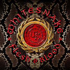 Whitesnake Flesh Blood Deluxe ed (cd+dvd) foto