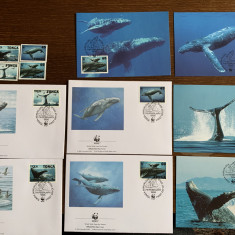 Tonga - balene - serie 4 timbre MNH, 4 FDC, 4 maxime, fauna wwf