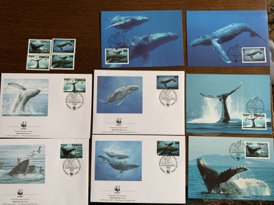 Tonga - balene - serie 4 timbre MNH, 4 FDC, 4 maxime, fauna wwf foto