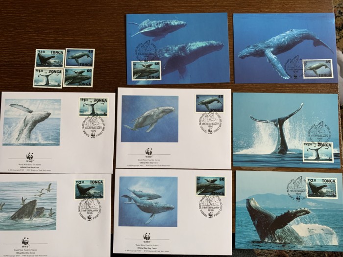 Tonga - balene - serie 4 timbre MNH, 4 FDC, 4 maxime, fauna wwf