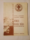 Ionel C&acirc;ndea; Valeriu S&icirc;rbu - Istoricul orașului Brăila din cele mai vechi timpuri p&acirc;nă la 1540