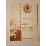 Ionel C&acirc;ndea; Valeriu S&icirc;rbu - Istoricul orașului Brăila din cele mai vechi timpuri p&acirc;nă la 1540