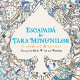 Escapadă &icirc;n Țara Minunilor. O aventură de colorat