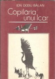 Copilaria unui Icar - Ion Doru Balan