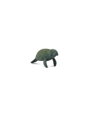 Lamantinul - Collecta foto