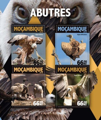 MOZAMBIC 2016 - Vulturi /set complet MNH - colita+bloc (2 imagini) foto