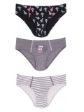 Set de trei chilotei pentru baieti (Marime Disponibila: 5-6 ani)