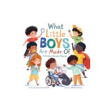 What Little Boys Are Made of: A Modern Nursery Rhyme