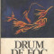 Drum de foc - Henriette Yvonne Stahl