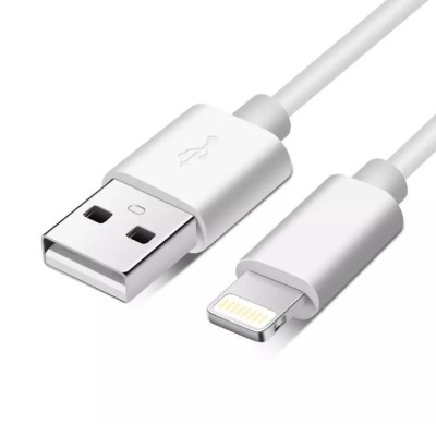 Cablu de date si incarcare iPhone Lightning 2m 2A Well foto