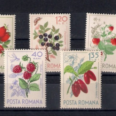 ROMANIA 1964 - FRUCTE DE PADURE - MNH - LP 598