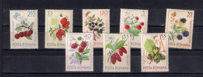 ROMANIA 1964 - FRUCTE DE PADURE - MNH - LP 598