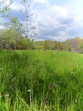 Ofer loc staționare rulote perioada rece zona Prahova