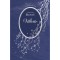 Villette - Charlotte Bronte