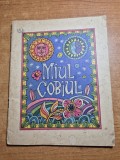 carte pentru copii - miul cobiul - din anul 1969